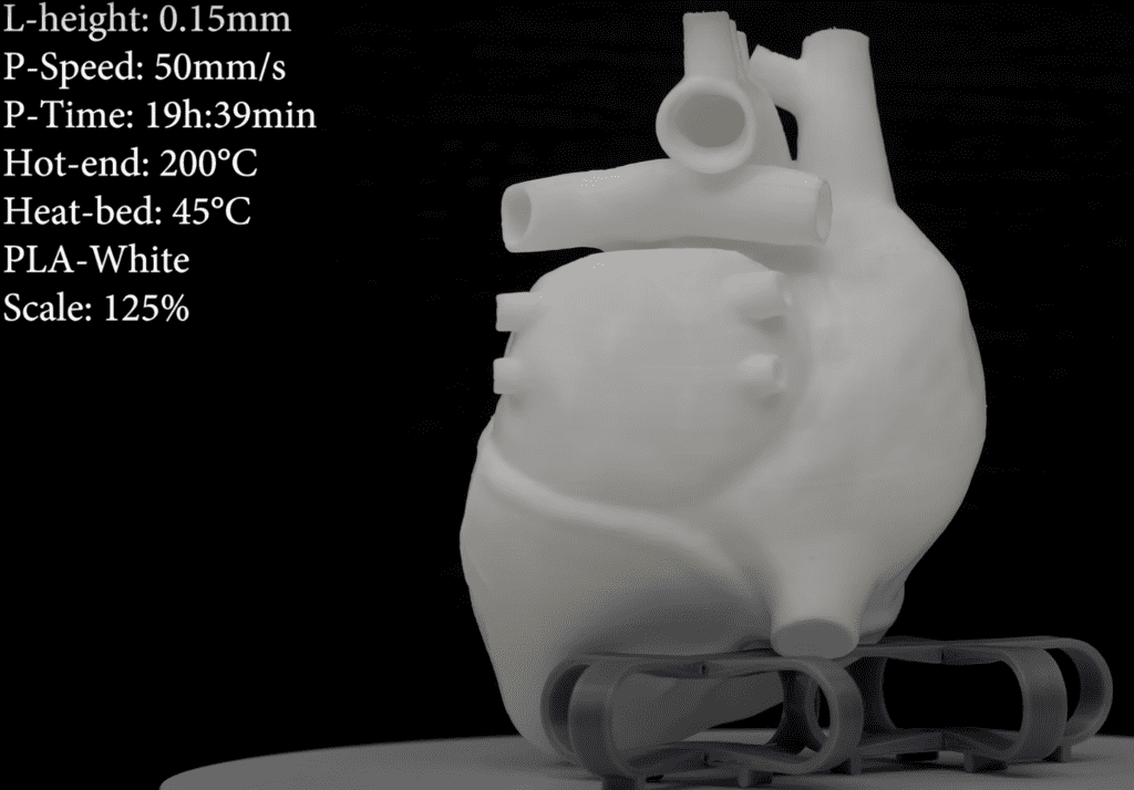Heart Printed by Creality Ender-3 3D Printer